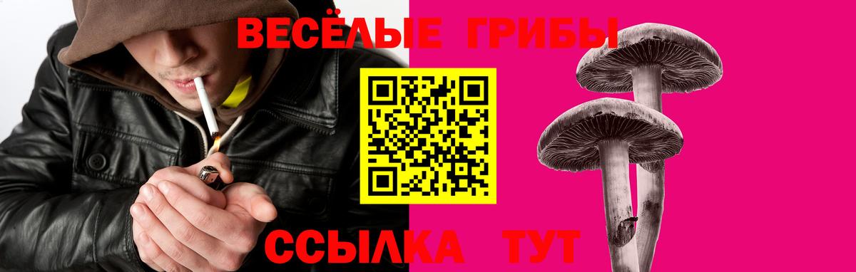 Галлюциногенные грибы прущие грибы Павлово